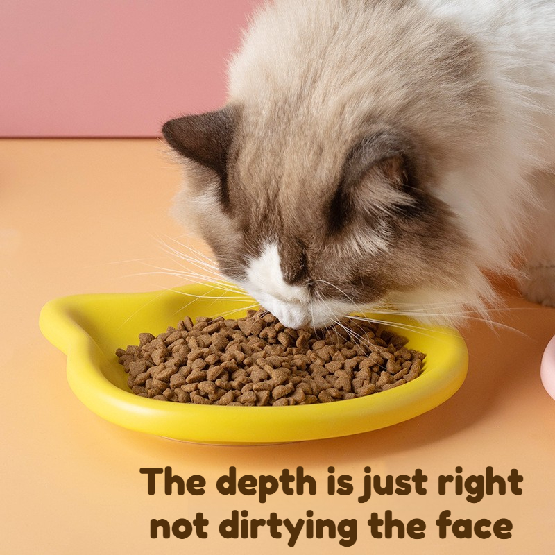 4-farbiger Futternapf für Katz – Food Snacks That Are Black Bewertung und Preis